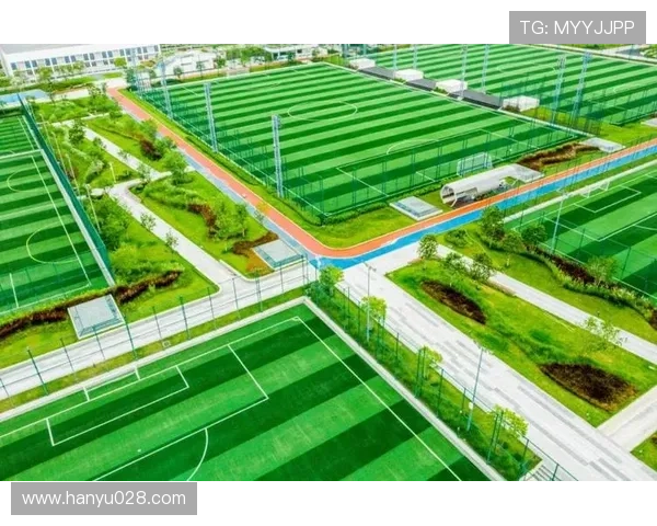 凯发体育平台首页官网官方入口入口导航与访问技巧全攻略