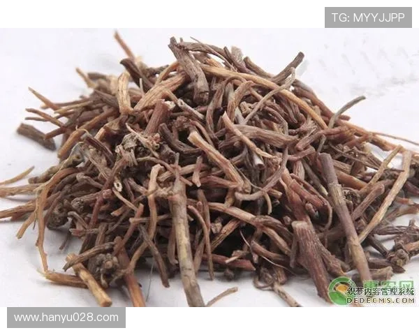 凯发官网首页入口为新手玩家提供详细的注册流程与安全保障措施